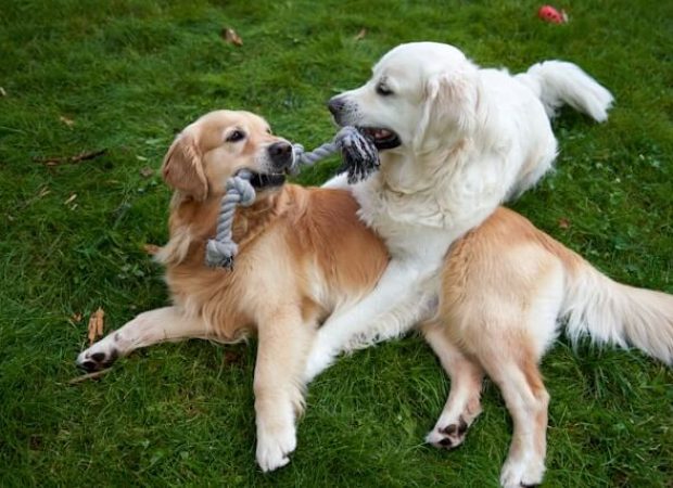 barnabas davoti 5wl0 0doaya unsplash (1)